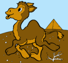 Dibujo Camello pintado por ESTRELLA