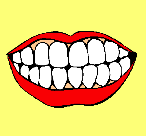 Boca y dientes