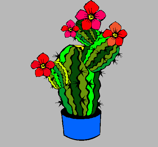 Flores de cactus