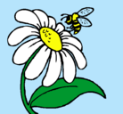 Dibujo Margarita con abeja pintado por JIMENAVASQ