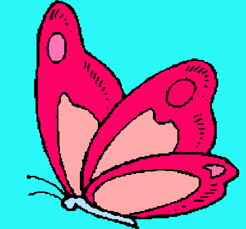 Mariposa