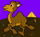 Dibujo Camello pintado por irune