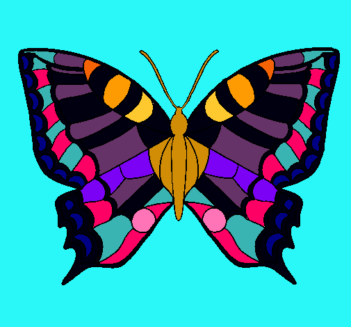 Mariposa