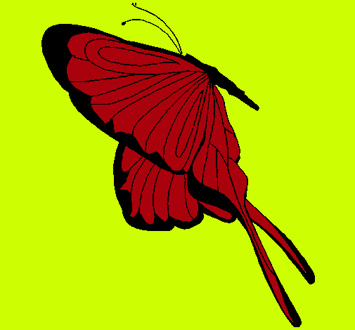 Dibujo Mariposa con grandes alas pintado por amalia