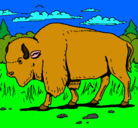 Dibujo Búfalo  pintado por  davib