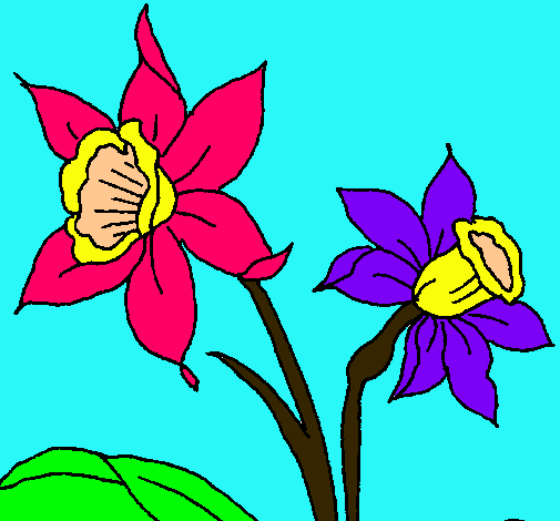 Dibujo de Orquídea pintado por Orquideas en  el día 02-11-10 a  las 23:08:42. Imprime, pinta o colorea tus propios dibujos!