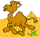 Dibujo Camello pintado por lucya5258