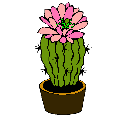 Cactus con flor