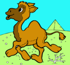 Dibujo Camello pintado por andera