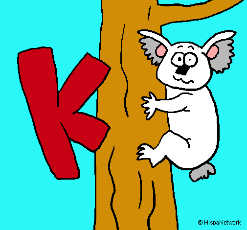 Koala