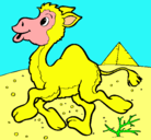 Dibujo Camello pintado por xXDANIAXx