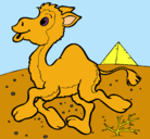 Dibujo Camello pintado por katherine
