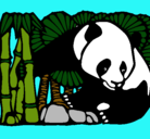Dibujo Oso panda y bambú pintado por lima
