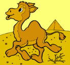 Dibujo Camello pintado por fernanda