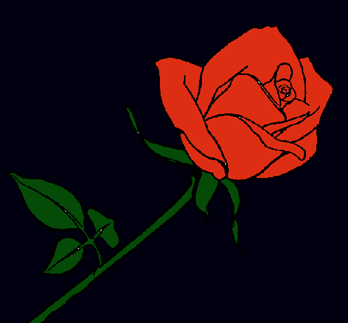 Dibujo Rosa pintado por salve