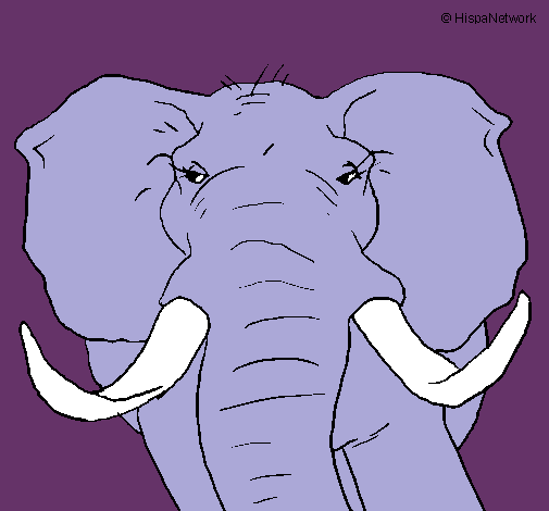 Dibujo Elefante africano pintado por JIMENAVASQ