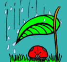 Dibujo Mariquita protegida de la lluvia pintado por antonela