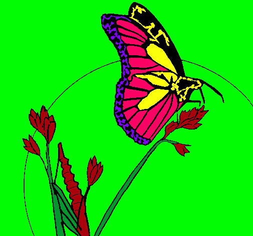 Dibujo Mariposa en una rama pintado por amalia