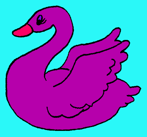 Cisne