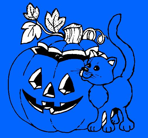 Calabaza y gato