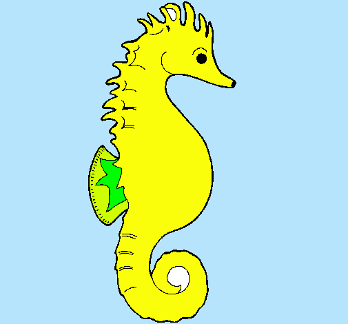 Caballito de mar