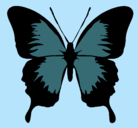 Dibujo Mariposa con alas negras pintado por maritza  