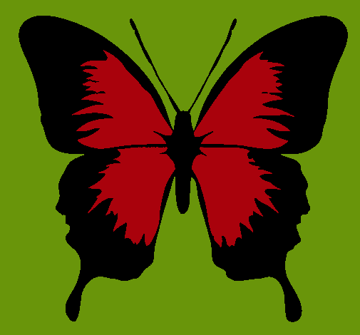 Dibujo Mariposa con alas negras pintado por amalia