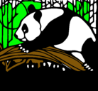 Dibujo Oso panda comiendo pintado por vico