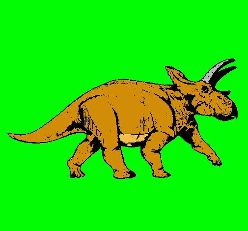 Triceratops