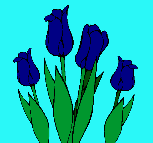 Tulipanes