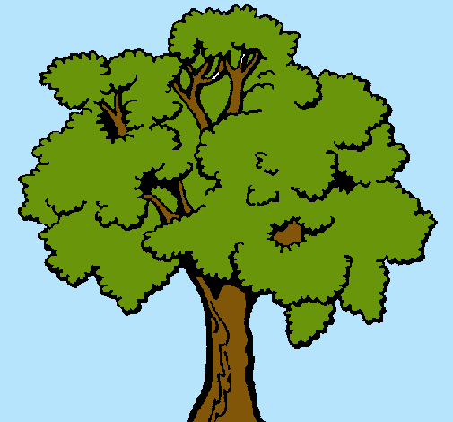 Árbol