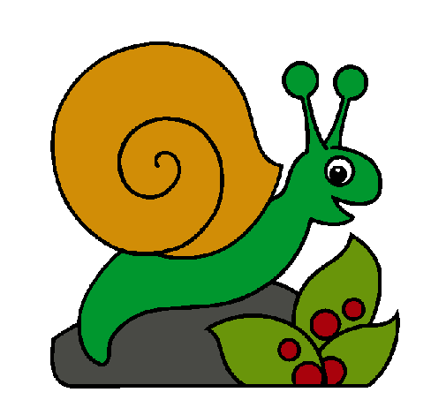 Caracol