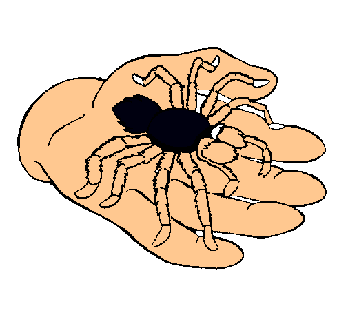 Tarántula