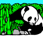 Dibujo Oso panda y bambú pintado por LALITO