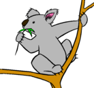 Dibujo Koala pintado por lauritadiva21