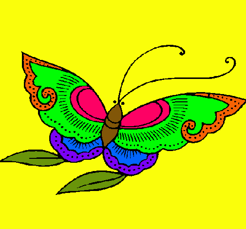 Mariposa