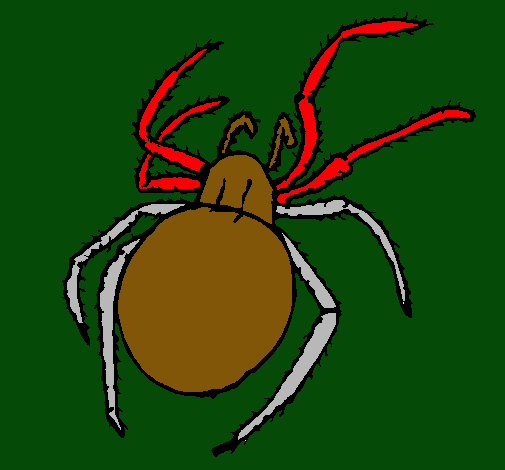 Araña venenosa