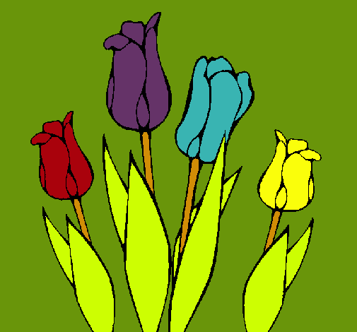 Tulipanes