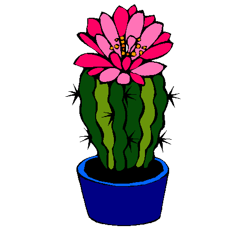 Cactus con flor