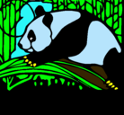 Dibujo Oso panda comiendo pintado por cristian