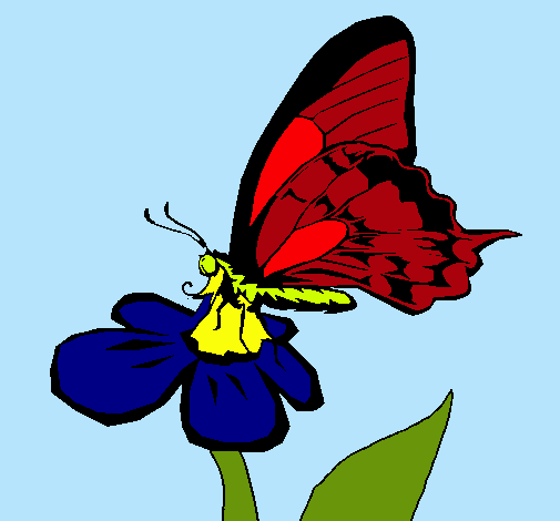 Mariposa en una flor