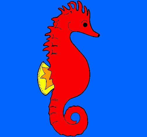 Caballito de mar