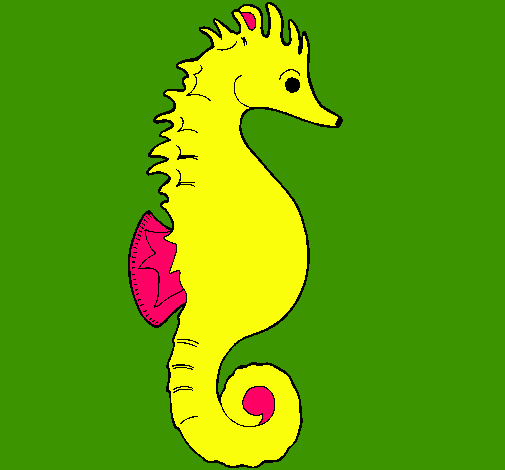 Caballito de mar