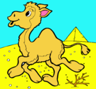 Dibujo Camello pintado por cristian