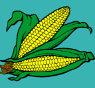 Dibujo Mazorca de maíz pintado por irune