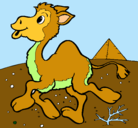 Dibujo Camello pintado por NAHOMI
