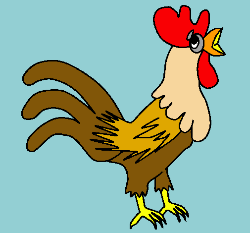 Gallo