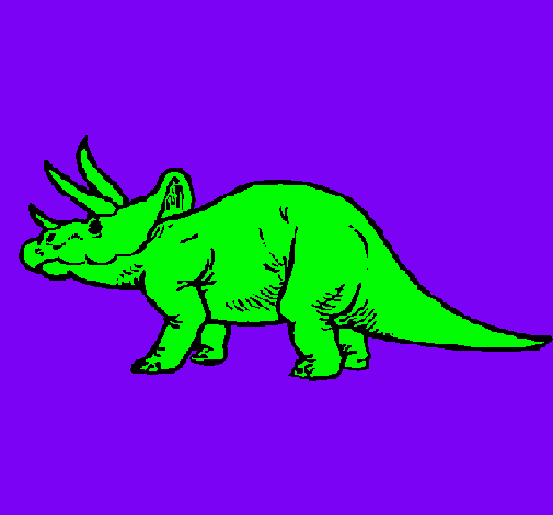 Triceratops