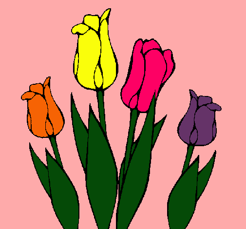 Tulipanes