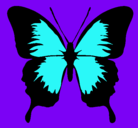 Dibujo Mariposa con alas negras pintado por fernanda